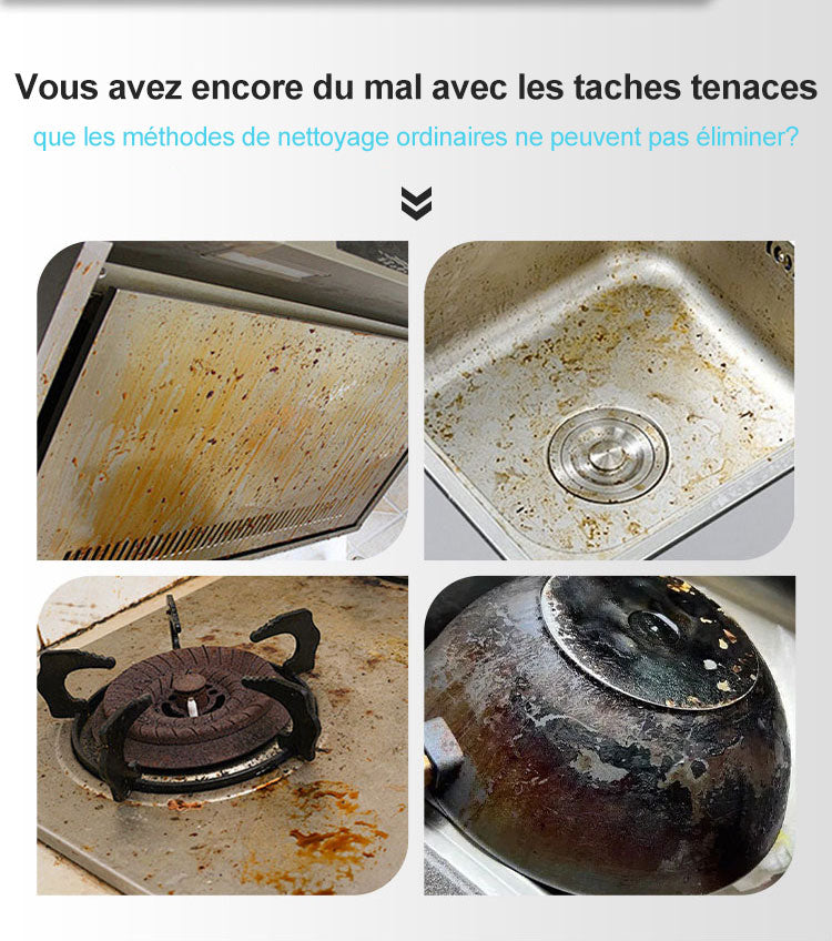 Nettoyeur à Vapeur à Haute Température Portatif