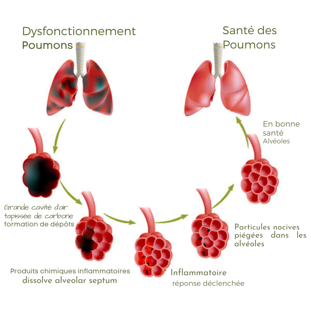 PulmoPure herbal lung