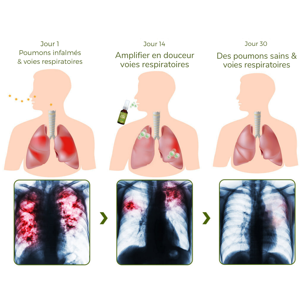 PulmoPure herbal lung