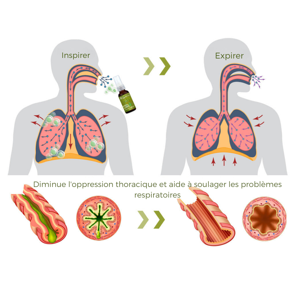 PulmoPure herbal lung