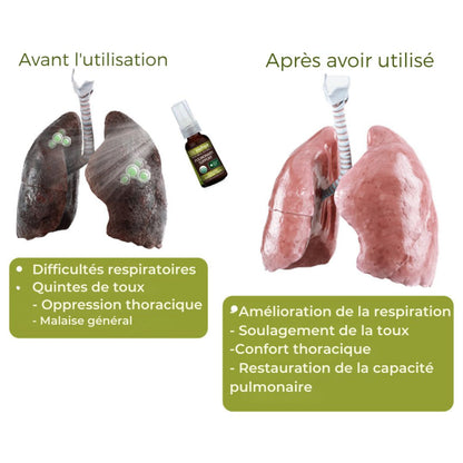 PulmoPure herbal lung