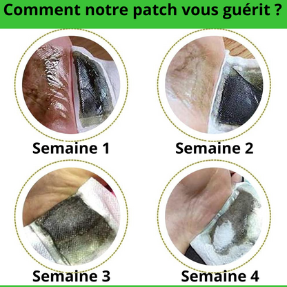 Détox organisme KINOKI